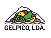 400x400 - LOGO_GELPICO__ 400x400 - LOGO_GELPICO__